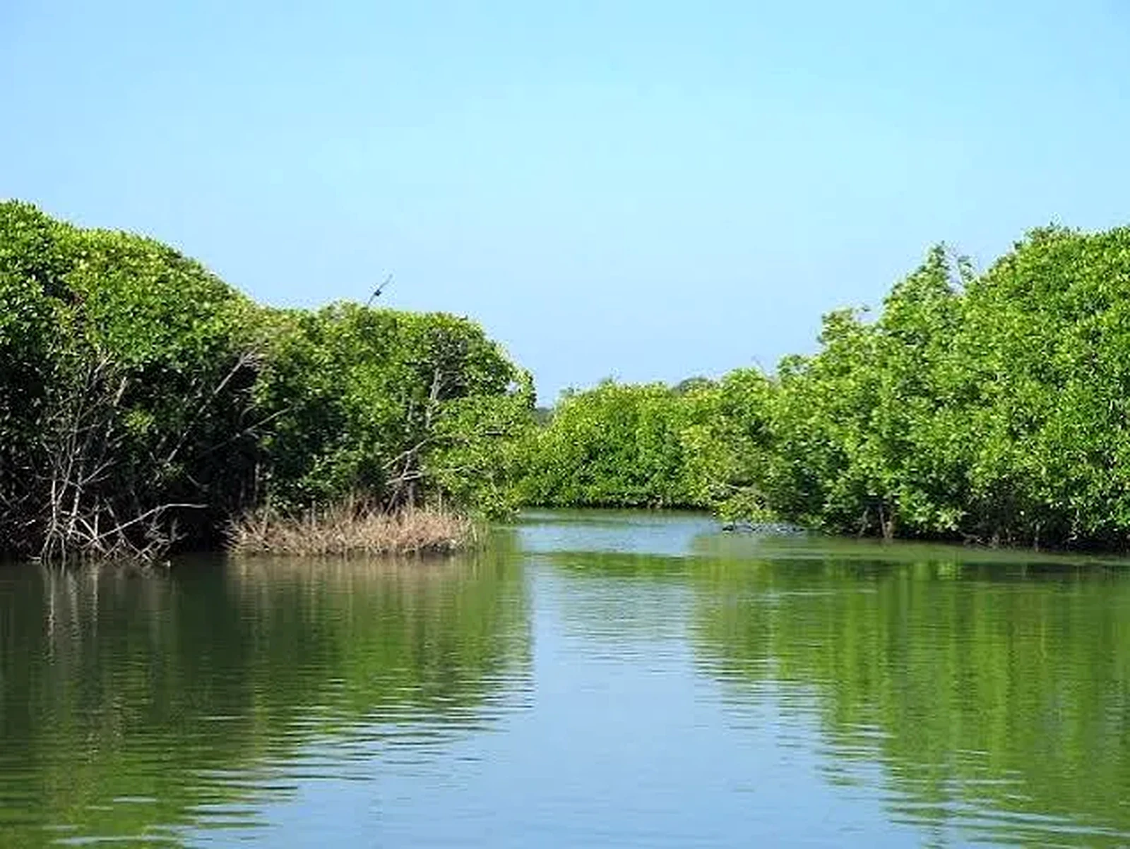 Negombo