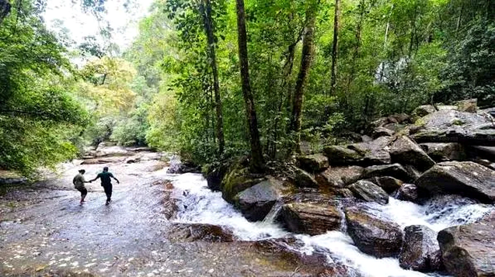 Sinharaja
