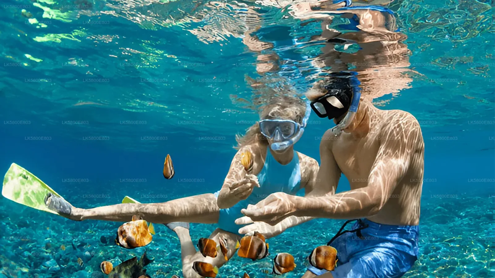 Snorkeling & Diving