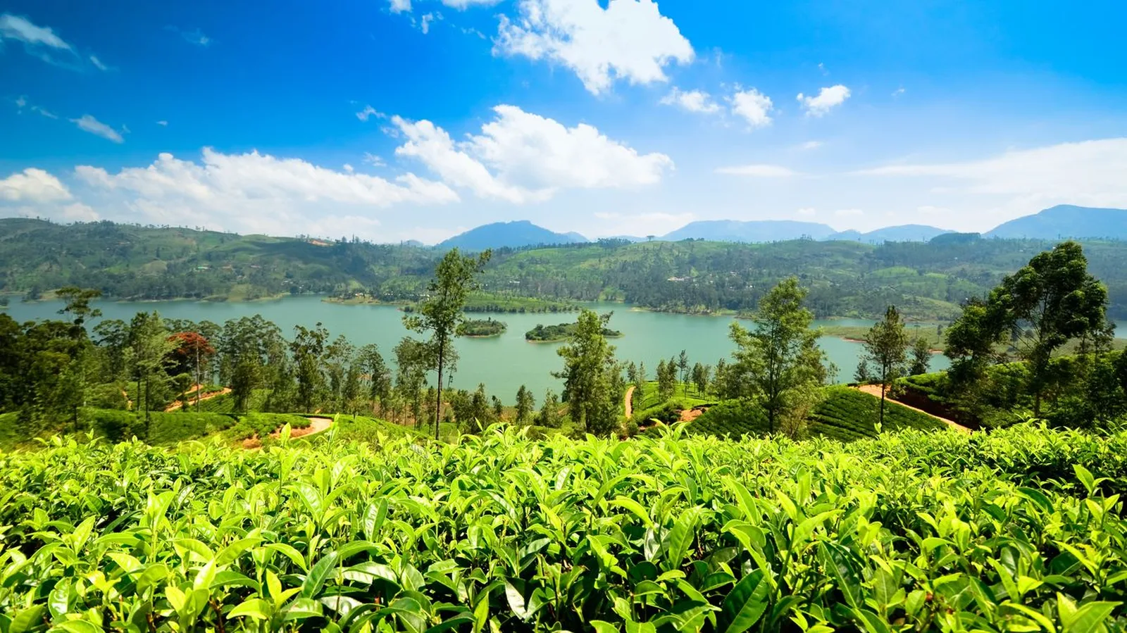 Scenic Sri Lanka